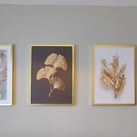 Barcelona Apartmán Krakov